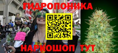 мяу мяу мука Заводоуковск