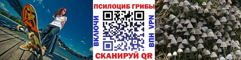 Галлюциногенные грибы MAGIC MUSHROOMS  купить наркоту  Лабинск 