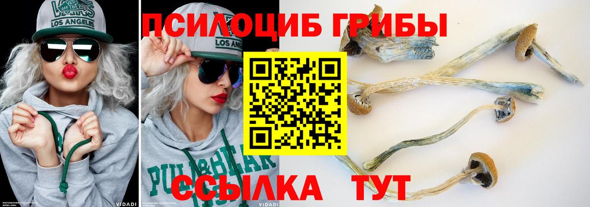 Галлюциногенные грибы Psilocybe  Галлюциногенные грибы Cubensis  Лабинск  Вход с VPN 